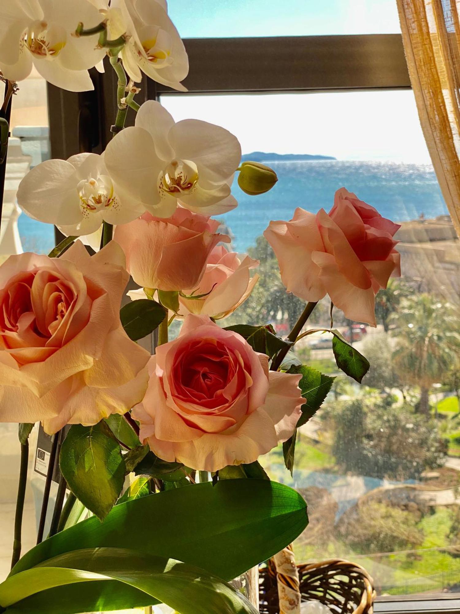 Amarilis Luxury Apartments Saranda Extérieur photo
